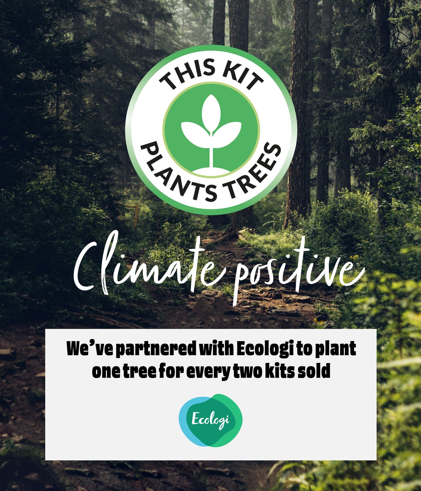 Build Jingles the Elf