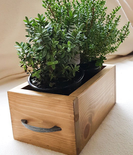 Make a wooden planter on a beginners woodwork course at Ash and Co Workshops