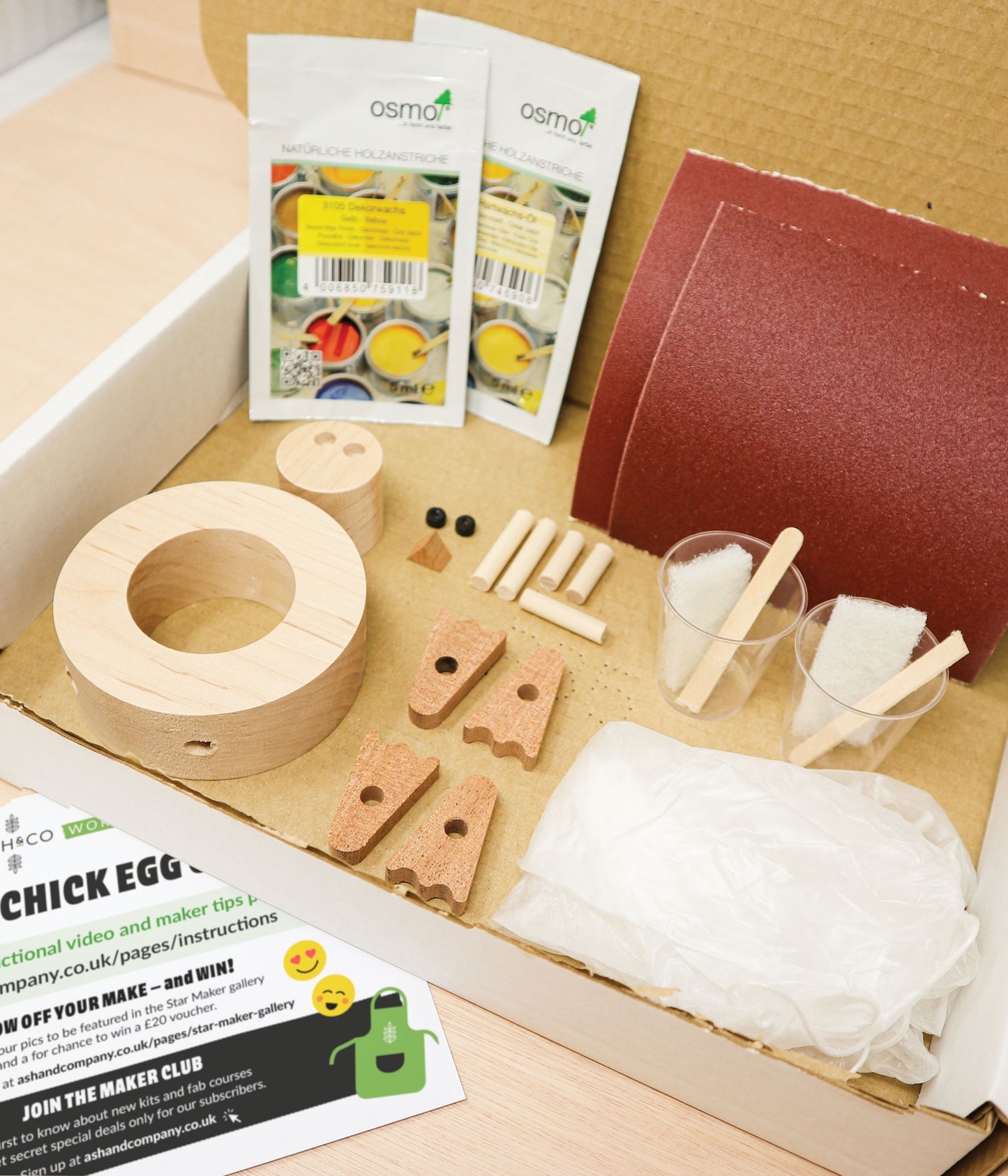 Spring Chick Egg Cup Making Kit